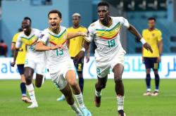 lol战绩查询-关于美国完胜荷兰，门迪扛起全队的信息